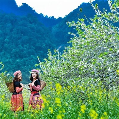 Những địa điểm 'hẹn hò' lý tưởng cho ngày mùng 8/3 thêm ý nghĩa