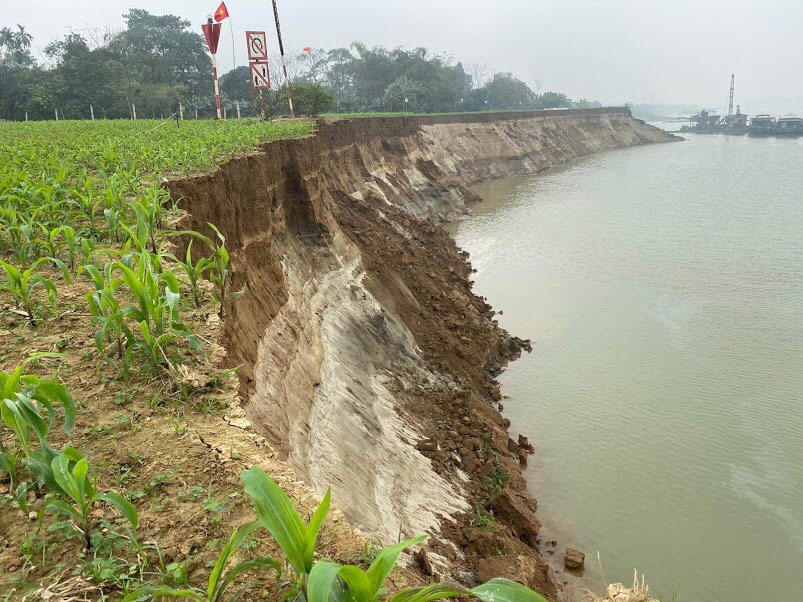 Phú Thọ: Đất nông nghiệp bị cuốn trôi do khai thác cát gây ra