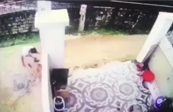 Vụ tài xế cán chết bé trai, giấu xác phi tang ở Nghệ An: Nghi phạm có thể bị xử lý như thế nào?