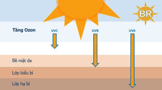 Bác sĩ chỉ cách bảo vệ cơ thể khi tia UV ở ngưỡng cao