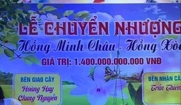 Sự thật về cây lan đột biến hồng minh châu có giá 1.400 tỷ đồng gây xôn xao mạng xã hội