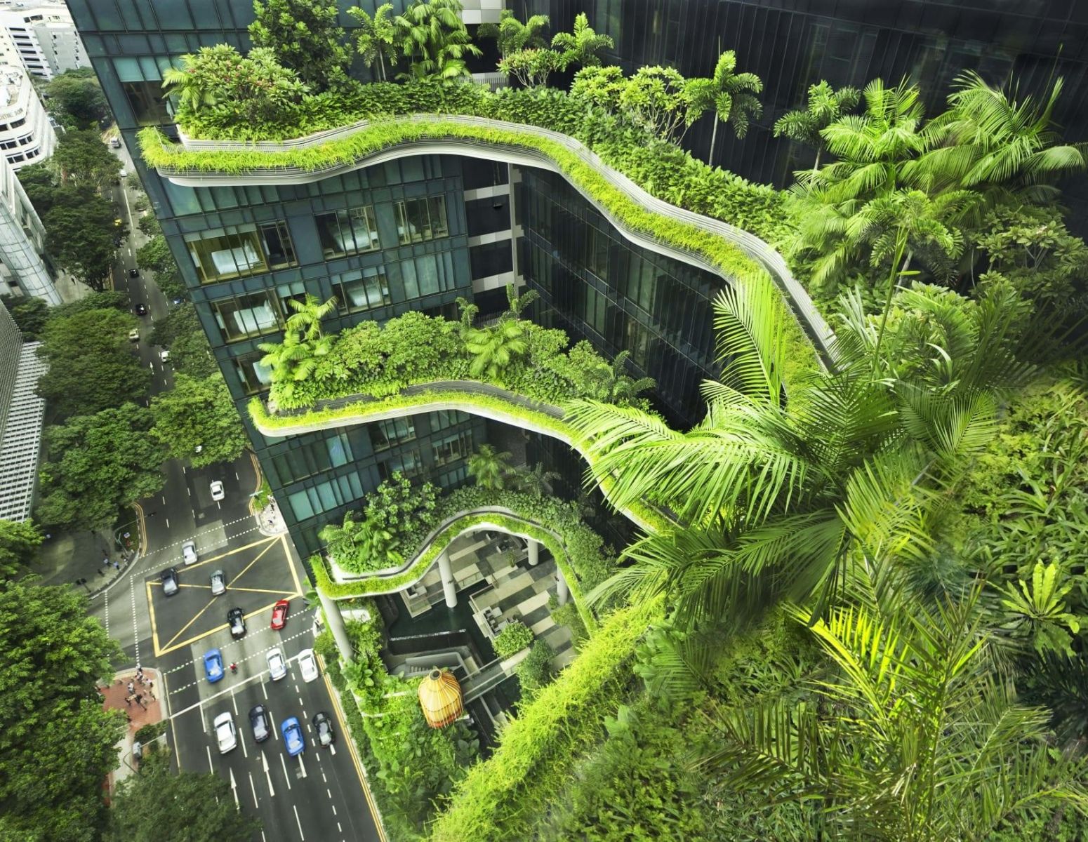Vườn thẳng đứng 'phủ mát' Singapore, Việt Nam thì sao?