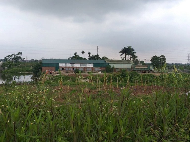 Quốc Oai: Cần xử lý triệt để tình trạng xây dựng sai phép trên đất nông nghiệp tại xã Sài Sơn