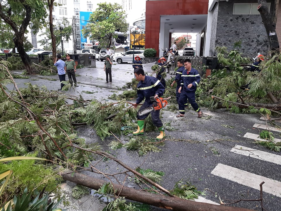 Một cán bộ phòng Giáo dục và Đào tạo tử vong do cành cây gãy đè trúng ở Huế