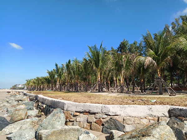 Long Điền: CĐT Charm Long Hải trồng 200 cây dừa tràn ra gần 4000m2 bờ biển không thuộc sở hữu
