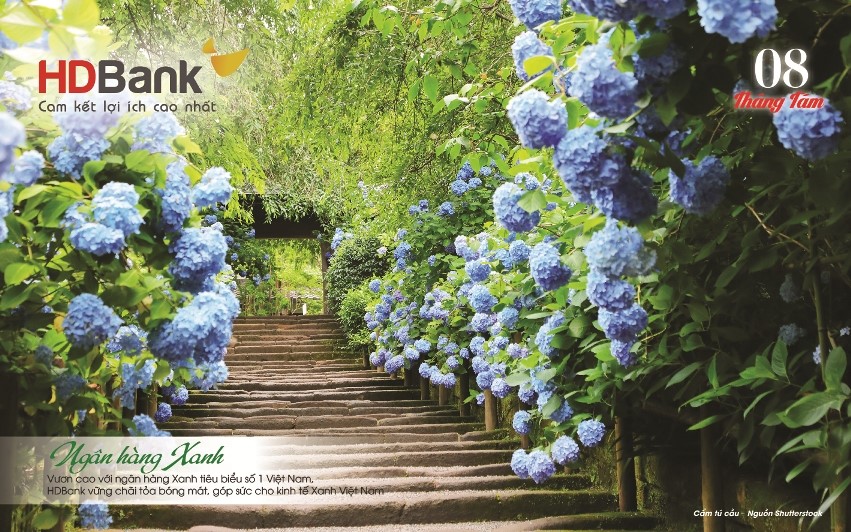 HDBank đi cùng những mùa hoa Đất nước