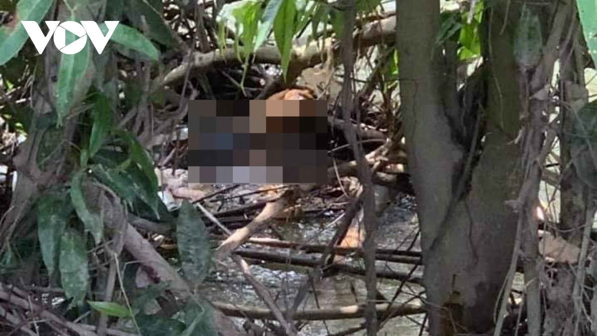 Bình Dương: Tìm thấy thi thể bé trai 2 tuổi mất tích dưới con suối gần nhà