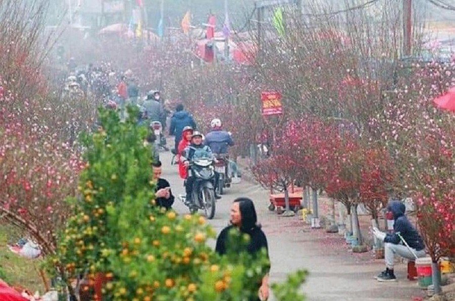 Hà Nội tổ chức 78 điểm chợ hoa xuân phục vụ Tết Nguyên đán 2022