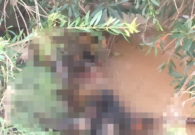 Phát hiện thi thể người đàn ông đang phân huỷ dưới suối ở Gia Lai