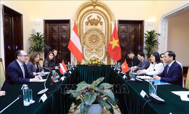 Tăng cường quan hệ hữu nghị và hợp tác Việt Nam - Áo