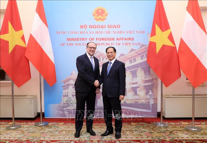 Tăng cường quan hệ hữu nghị và hợp tác Việt Nam - Áo