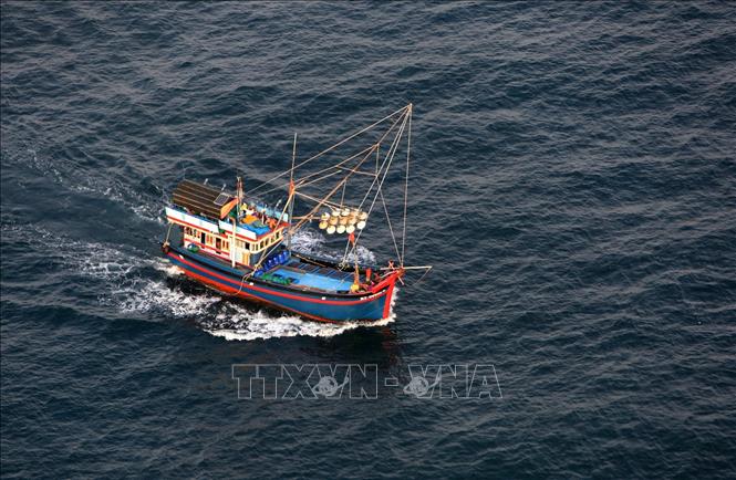 Tập trung thực hiện các nhiệm vụ, giải pháp chống khai thác hải sản bất hợp pháp