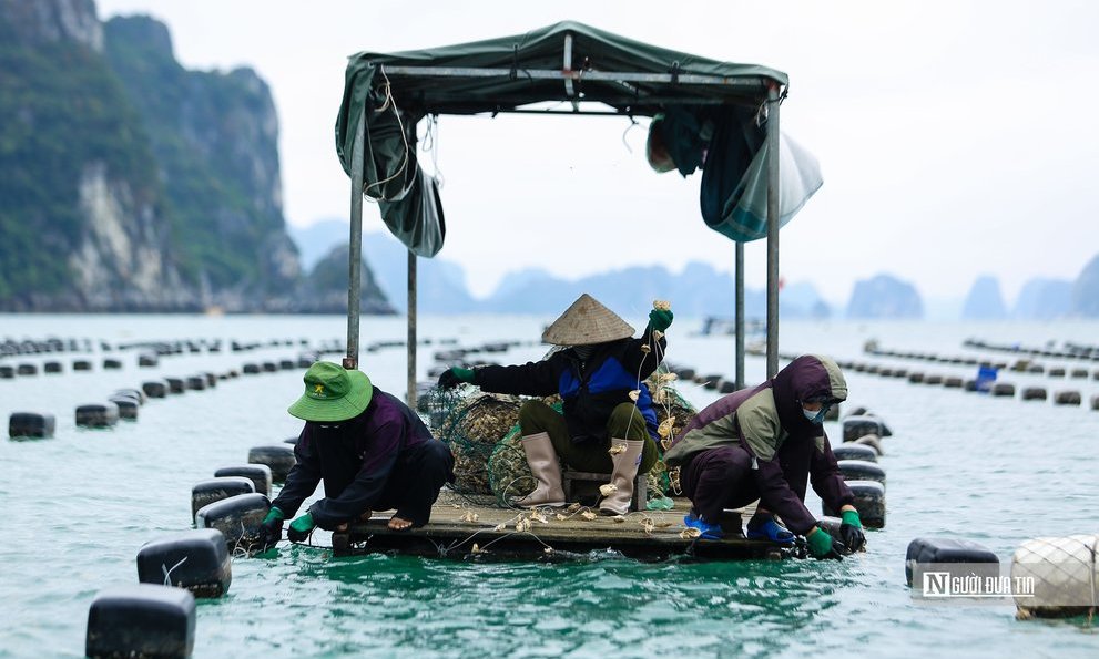 Chủ tịch Hội Luật gia Việt Nam: Cần nâng cao trách nhiệm của cộng đồng, doanh nghiệp trong tăng trưởng xanh