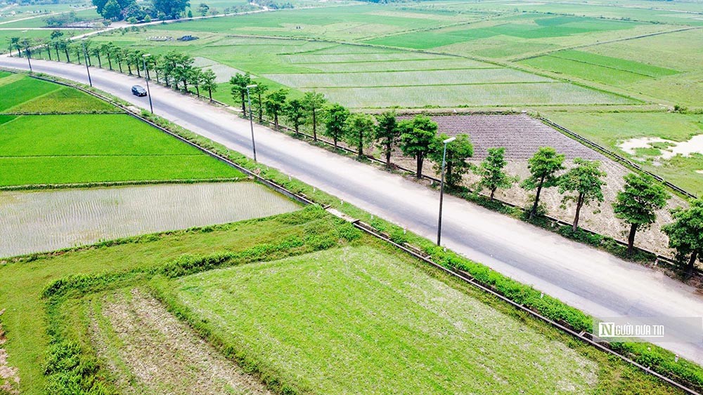 Chủ tịch Hội Luật gia Việt Nam: Cần nâng cao trách nhiệm của cộng đồng, doanh nghiệp trong tăng trưởng xanh