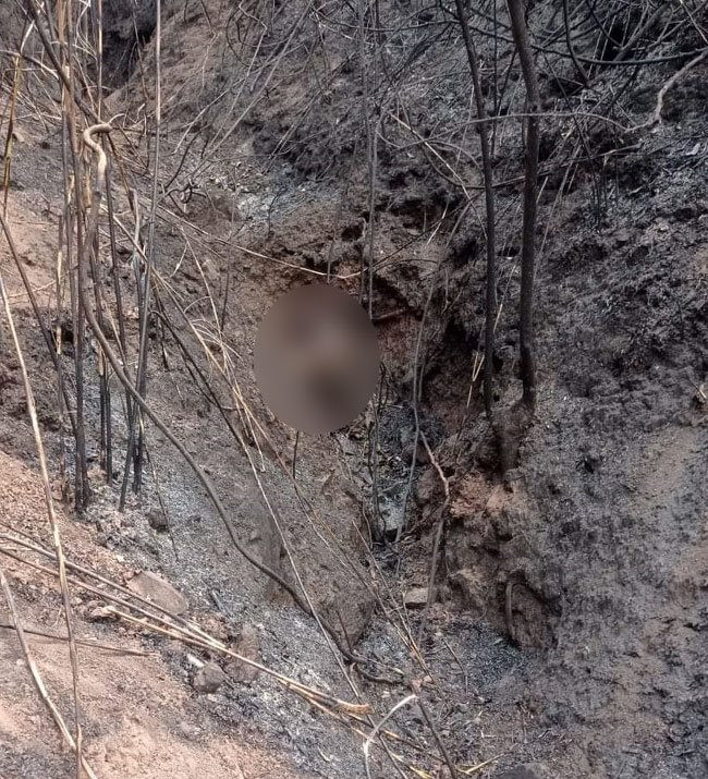 Điện Biên: Phát hiện thi thể 3 bố con chết cháy trong khe núi