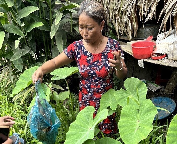 Người phụ nữ bị bắt vì mua bán, tàng trữ chồn bay