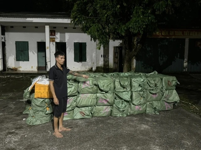 Bắt giữ hơn 3 tấn nầm lợn không rõ nguồn gốc ở Quảng Ninh