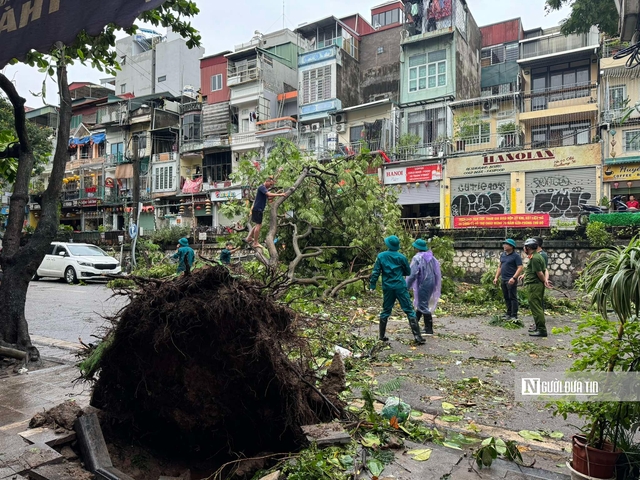 Hà Nội triển khai các biện pháp khắc phục, giải tỏa cây xanh gãy, đổ sau cơn bão số 3