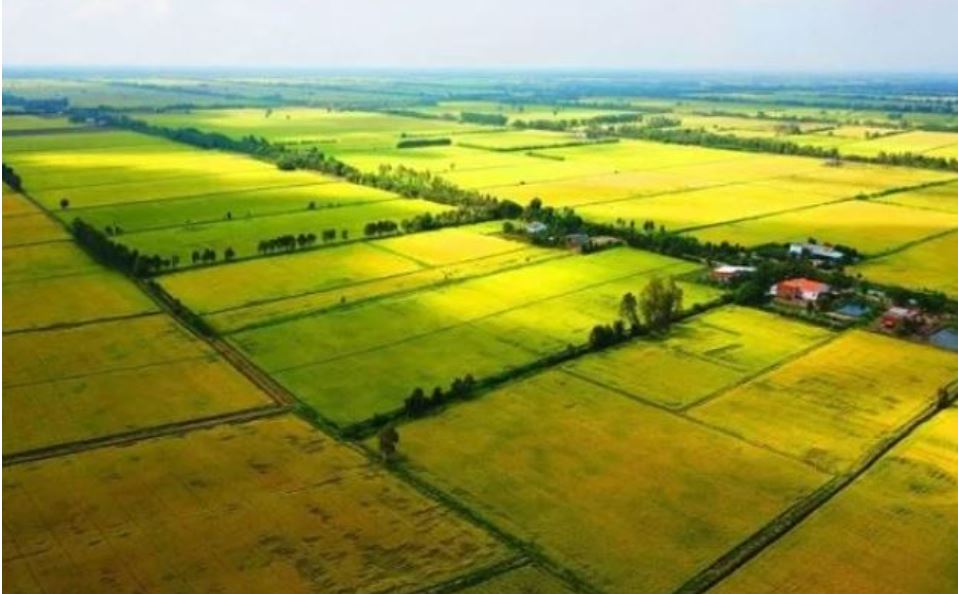 Quy định về mức xử phạt đối với hành vi lấn chiếm đất