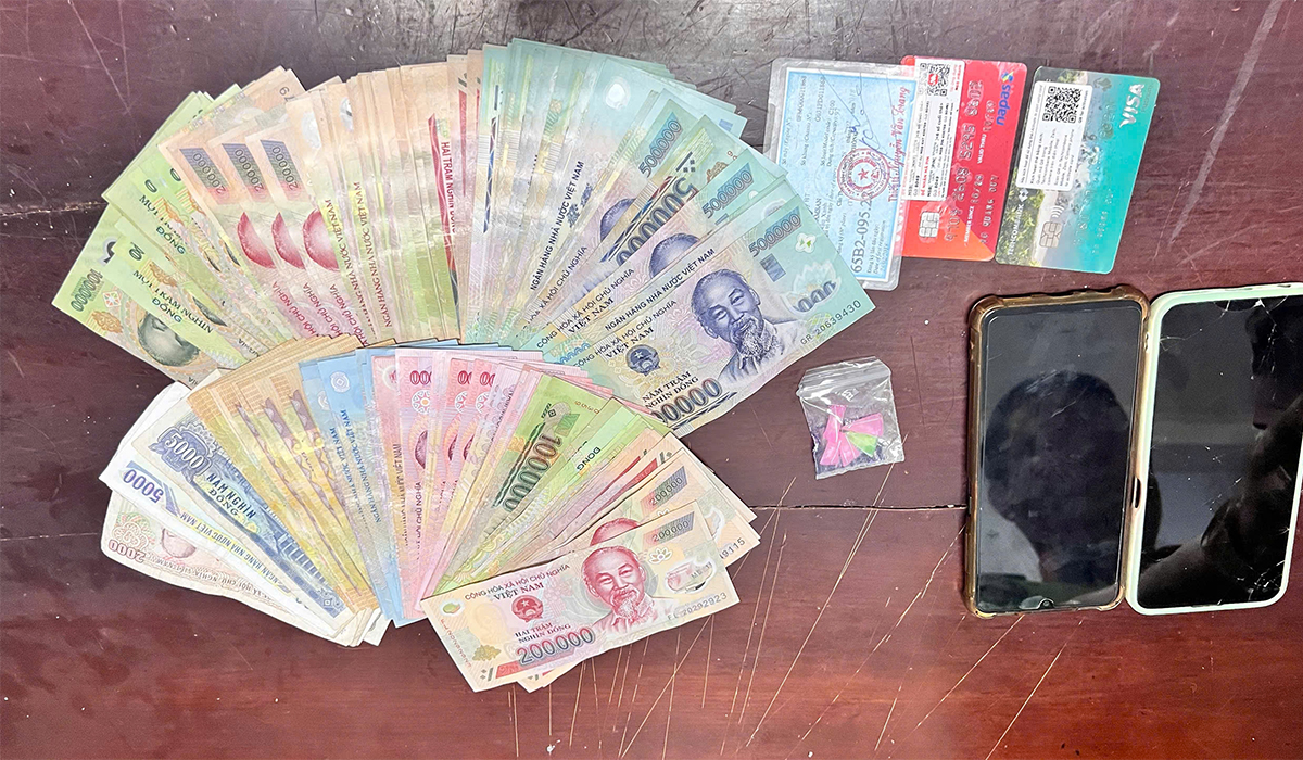 Bắt giữ đối tượng tàng trữ trái phép chất ma tuý ở An Giang