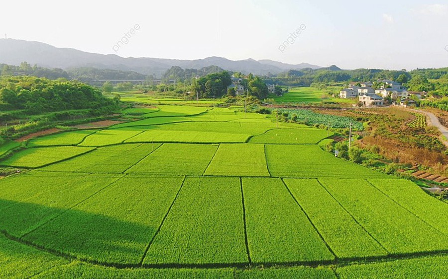 Trường hợp nào chuyển mục đích sử dụng đất không phải xin phép?