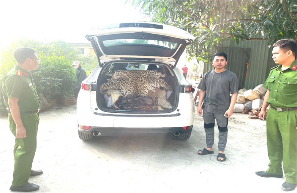 Ninh Bình: Khởi tố đối tượng buôn bán động vật nguy cấp, quý hiếm