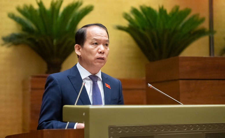 Đề xuất thành lập Tòa án nhân dân khu vực, Tòa chuyên trách về Phá sản, Sở hữu trí tuệ
