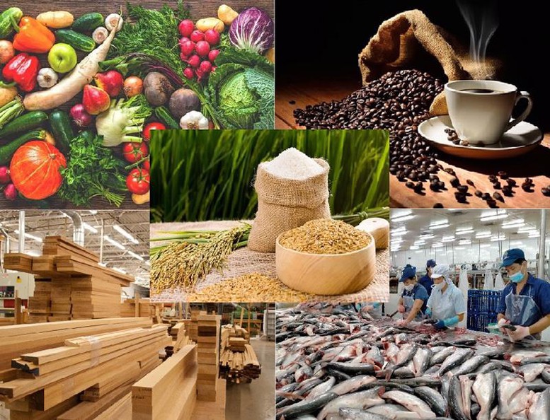 Tập trung chỉ đạo bảo đảm sản xuất, tiêu thụ, xuất khẩu nông lâm thủy sản trong bối cảnh biến động thương mại toàn cầu