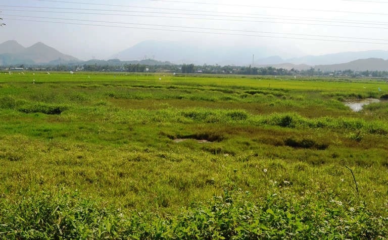 Đất bỏ hoang trong thời gian bao lâu sẽ bị mất quyền sử dụng đất?