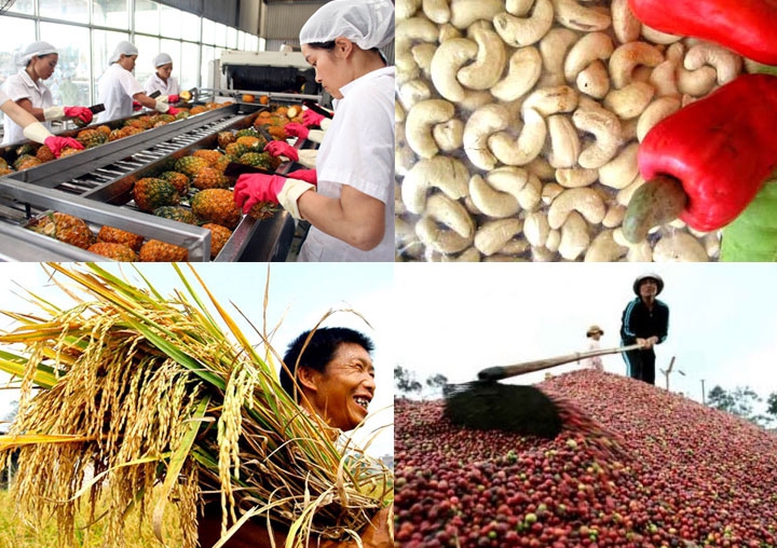 Công điện của Thủ tướng Chính phủ về chủ động triển khai các biện pháp bảo đảm sản xuất, chế biến, tiêu thụ và xuất khẩu nông sản