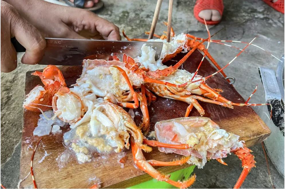 Phát hiện cơ sở bơm tạp chất vào tôm hùm chết để bán kiếm lời