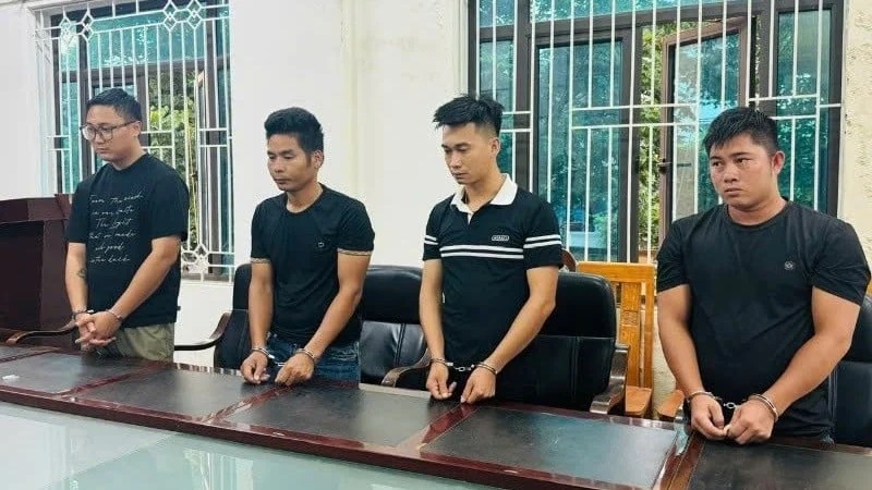 Khởi tố nhóm đối tượng buôn lậu gần 100.000 cây dó bầu