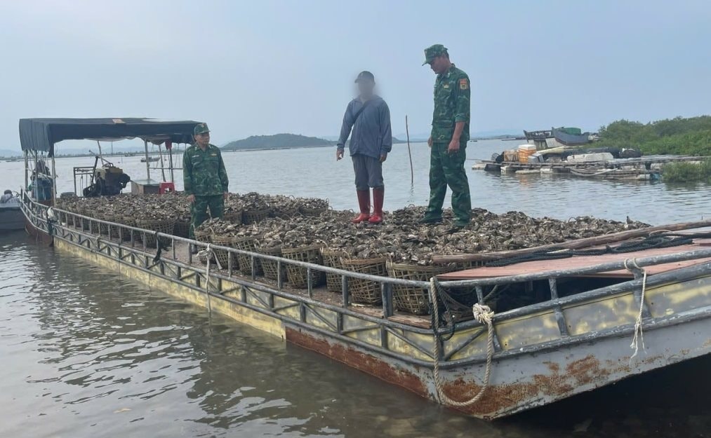 Bắt đối tượng chở lậu 4 tấn hàu từ Trung Quốc về Việt Nam tiêu thụ