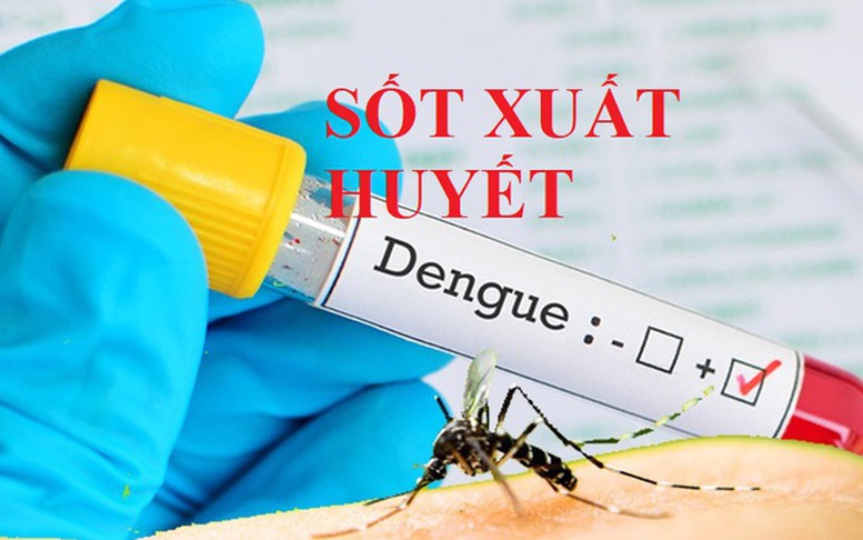 Thủ tướng Chính phủ chỉ đạo tăng cường phòng, chống bệnh sốt xuất huyết
