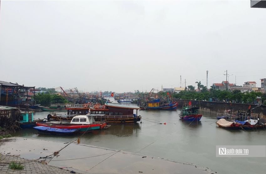 Kiên quyết đưa ngư dân đi tránh bão, có phương án bảo vệ tài sản
