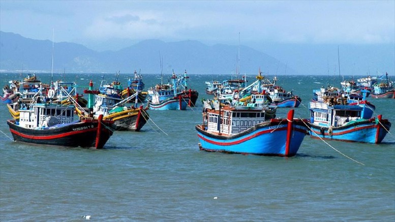 Công điện của Thủ tướng Chính phủ về việc tăng cường công tác chống khai thác thủy sản bất hợp pháp, không báo cáo, không theo quy định (IUU)