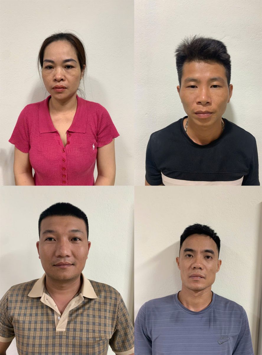 Tạm giữ hình sự 4 đối tượng gom heo mắc dịch tả heo châu Phi bán ra thị trường