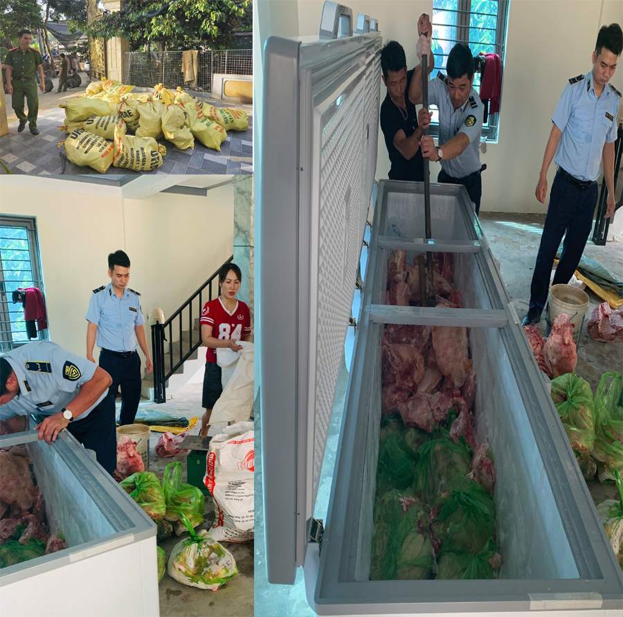Tạm giữ hình sự 4 đối tượng gom heo mắc dịch tả heo châu Phi bán ra thị trường