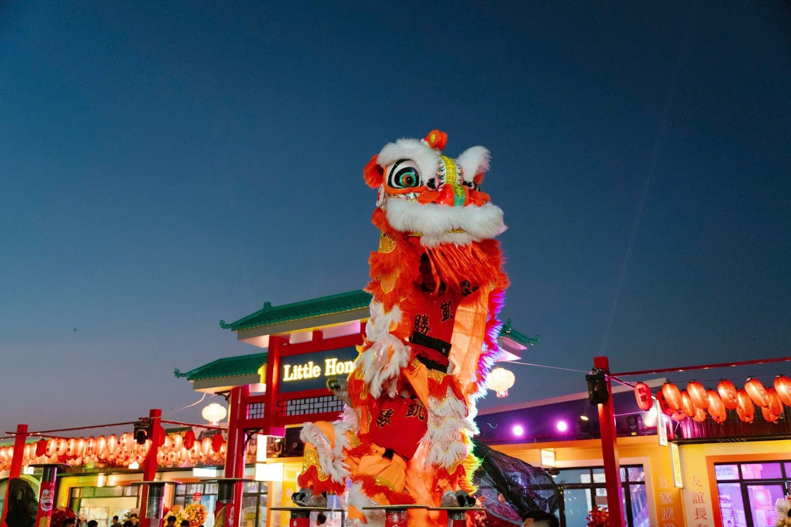 Little Hong Kong tại Bình Sơn Ocean Park Nam Khánh Hòa gây sốt dịp khai trương