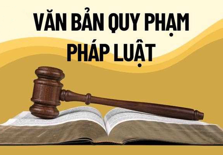 Bảo đảm chất lượng các dự án luật, đẩy nhanh tiến độ soạn thảo văn bản quy định chi tiết