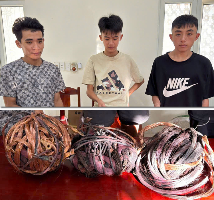 Bắt nhóm đối tượng trộm cắp tài sản ở Thanh Hoá