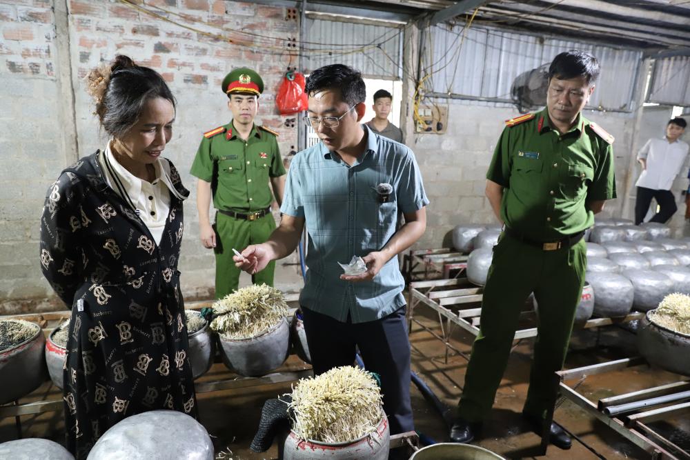Phát hiện cơ sở dùng chất cấm sản xuất giá đỗ số lượng lớn ở Hà Tĩnh