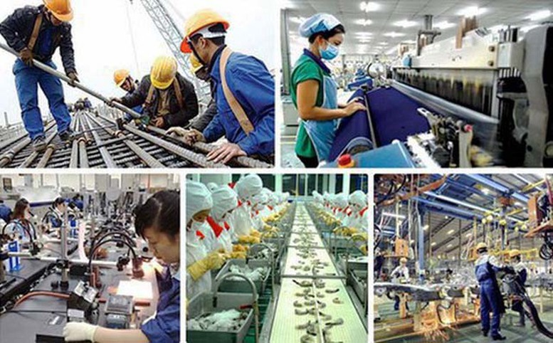 Chính phủ ban hành Kế hoạch triển khai thi hành Luật sửa đổi, bổ sung Luật Tiêu chuẩn và quy chuẩn kỹ thuật
