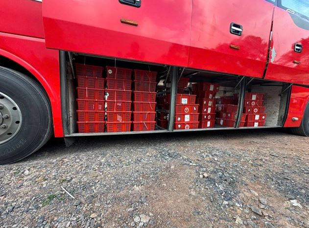 Số phận 676 cá thể rắn hổ mang vận chuyện ‘lậu’ ở Quảng Trị sẽ ra sao?