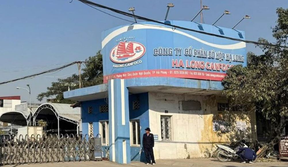 Vụ phát hiện 120 tấn thịt lợn nhiễm bệnh: Người tiêu dùng cần làm gì?