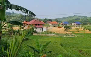 Đất sử dụng sai mục đích, đã kê khai đăng ký, có được chuyển nhượng không?