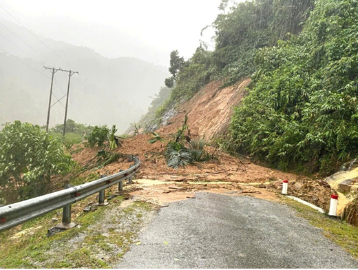 Tết An Bình 2026 quay trở lại, tiếp nối hành trình gieo mầm xanh vì cộng đồng