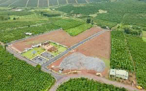 Quy hoạch nào là căn cứ để chuyển mục đích sử dụng đất theo Luật Đất đai?