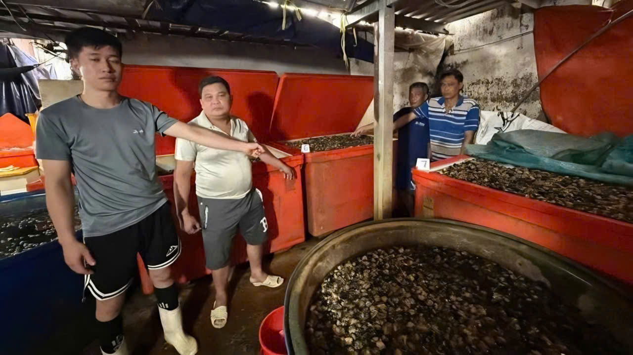 Ốc bươu ngâm 'thủy tinh lỏng': Cái giá phải trả cho hành vi trục lợi trên sức khỏe người dân