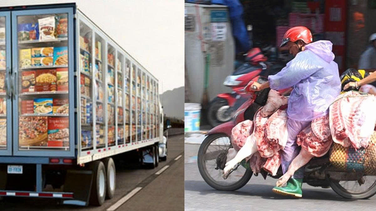 Vi phạm khi vận chuyển động vật sống, thực phẩm tươi sống bị xử lý thế nào?